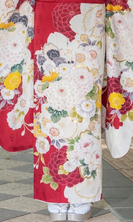 赤地に白の菊花振袖