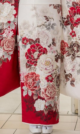 赤白の染分けた牡丹と薔薇